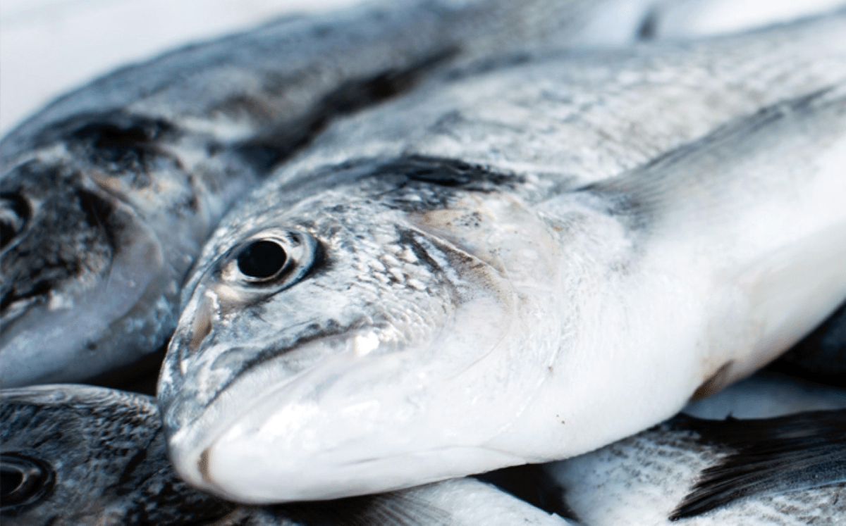 FishMarket